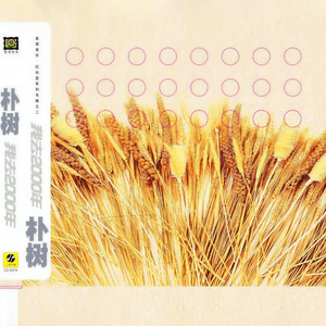 温碧霞一级A片巜色情荒
