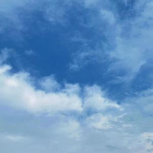 温碧霞一级A片巜色情荒
